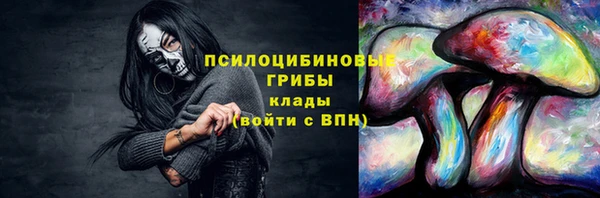 Альфа ПВП Лабытнанги