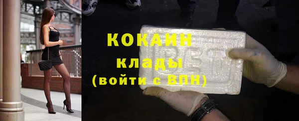 гашик Ладушкин