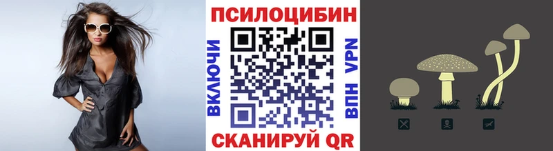 Купить где  Мамадыш  Псилоцибиновые грибы прущие грибы 